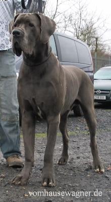 Sabouraud Vom Hause Wagner