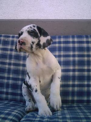 Sky Sensation Bocca D�tigre