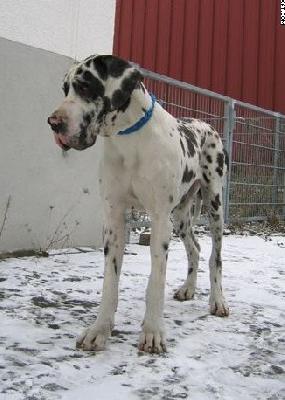 Sky Sensation Bocca Dtigre