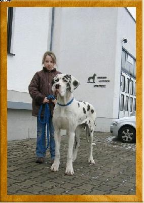 Jora-Jiep Von Schlesien