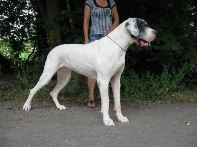 Karina Von Schlesien