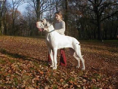 Karina Von Schlesien