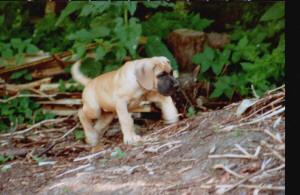 Clark Aus Lea�s Liebe