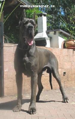 Ray Of Light-b Lucky Team