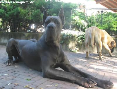 Ray Of Light-b Lucky Team