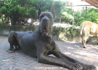 Ray Of Light-b Lucky Team