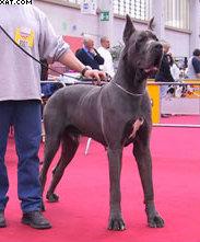 Offman-b Della Baia Azzurra