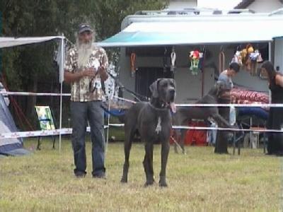 Antill Vom Schlo�grund Tunzenberg