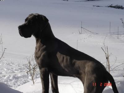 Ammelie Vom Schlo�grund Tunzenberg