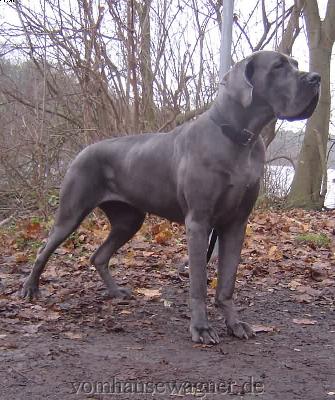 Unikat Vom Hause Wagner