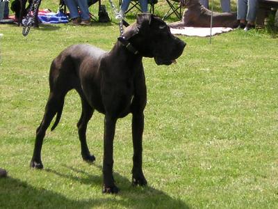 Deborah Vom Regenbogental