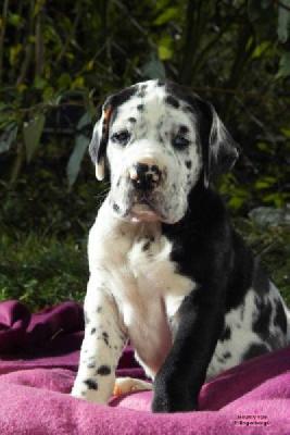 Bounty Vom Elfinger Berg