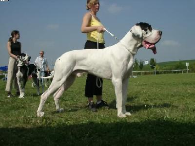 Vim Des Terres De La Rairie