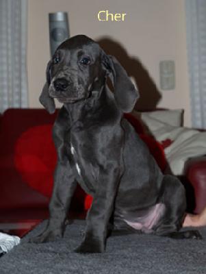 Ch�r Vom Teuchelwald