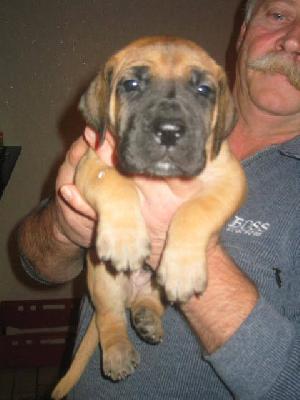 Aicha Von Yellow Storm