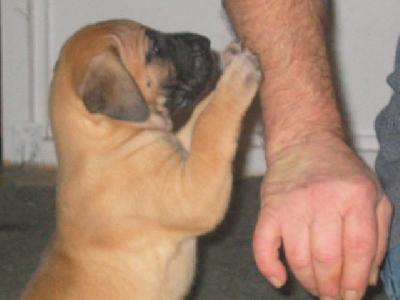 Qule2005110705 Von Yellow Strom