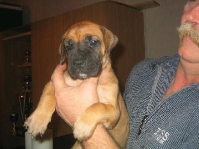 Alexa Von Yellow Storm