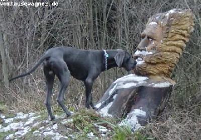 Quintal Vom Hause Wagner