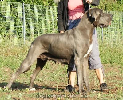 Ch Weinknigin Vom Hause Wagner