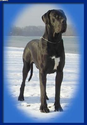 Quito Della Baia Azzurra