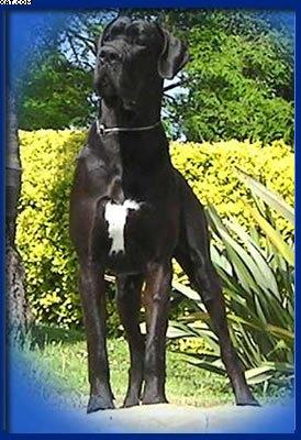 Quito Della Baia Azzurra