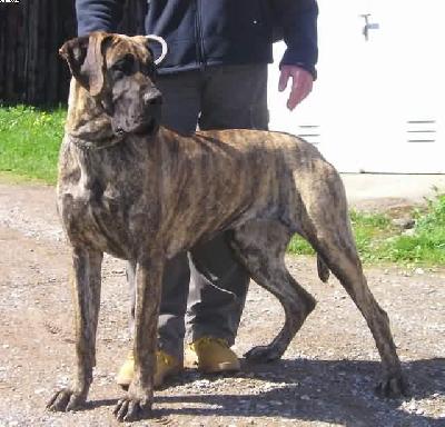 Gina Von Der Meyenburg