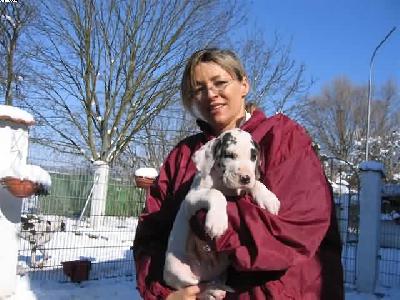 Oregon Von Schlesien