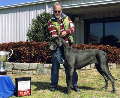 Xouxou Vom Hause Wagner