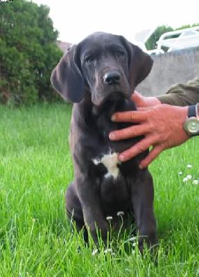 Xosa Vom Hause Wagner