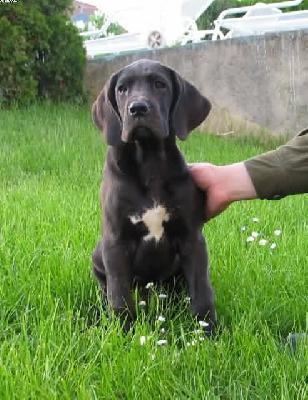 Xosa Vom Hause Wagner