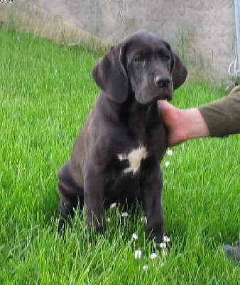 Xosa Vom Hause Wagner