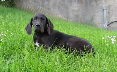 Xosa Vom Hause Wagner