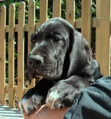 Diamant Vom White Temple