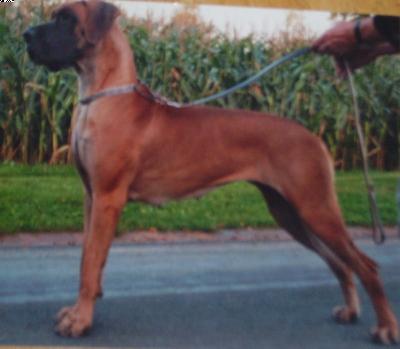 Prinzessin Von Der Rotburg