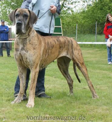 Aurora Ex Umbra In Solem