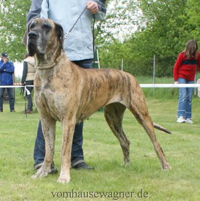 Aurora Ex Umbra In Solem