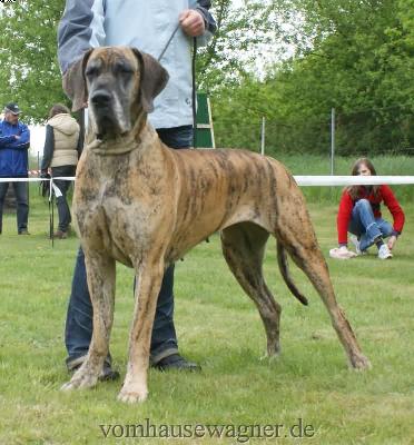 Aurora Ex Umbra In Solem