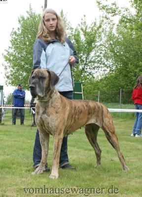 Aurora Ex Umbra In Solem