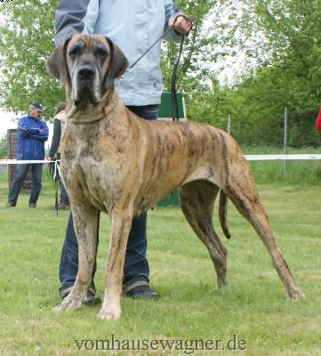 Aurora Ex Umbra In Solem