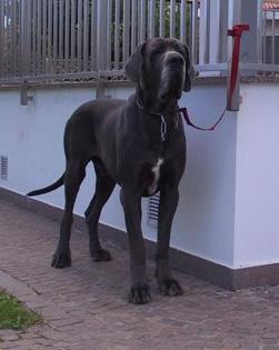 Ramon Della Baia Azzurra