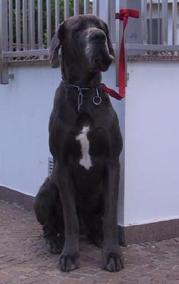 Ramon Della Baia Azzurra