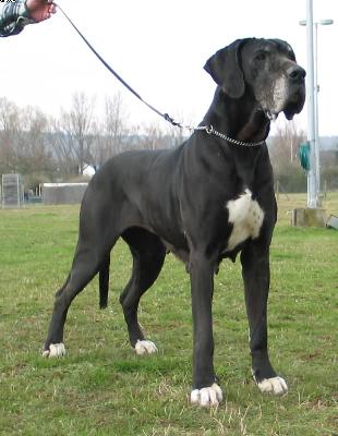 Anni Von Der Stadt L�neburg