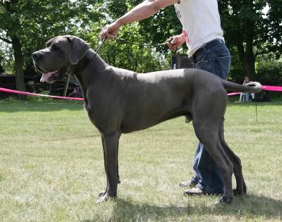 Edgar Von Der Calauer Schweiz