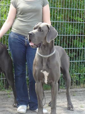 Elischa Von Der Calauer Schweiz