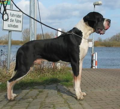 Hannibal Von Der Stadt L�neburg