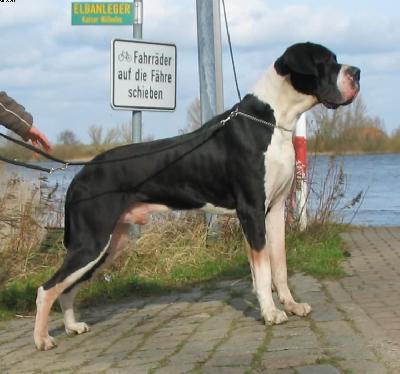 Hannibal Von Der Stadt L�neburg