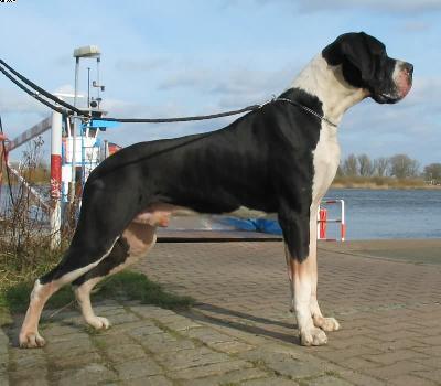 Hannibal Von Der Stadt L�neburg