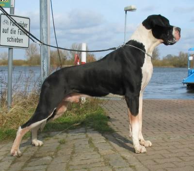 Hannibal Von Der Stadt L�neburg