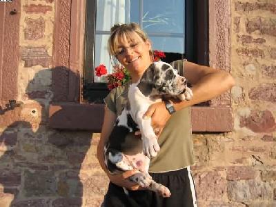 Pavlov Von Schlesien