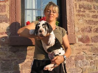 Pavlov Von Schlesien